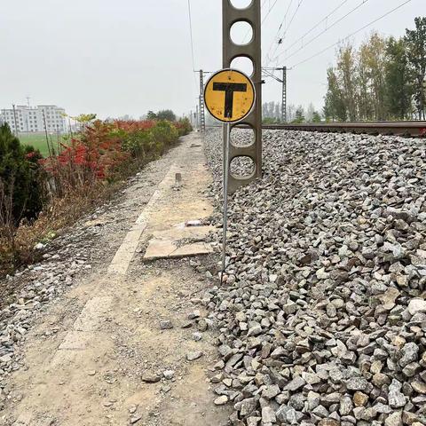 综合工队每月一练