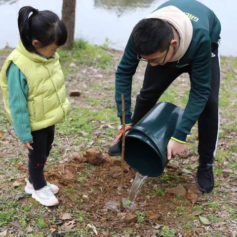 植树节，春来了。