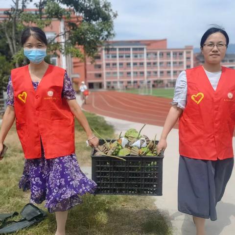 清“莲”正洁——遂昌县云峰中心学校党员志愿者活动