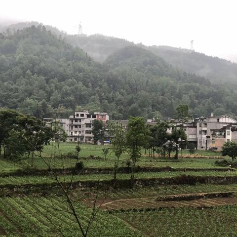 【丹心绘写桃李情，匠心铺就成长路】——民主小学与彭水县平安镇小学校协作交流活动纪实之二