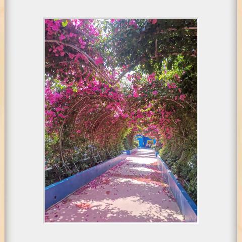 巾帼绽芳华   聚力著师魂——高新区米粮小学2022妇女节团建活动