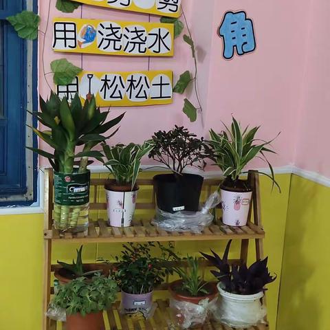 小二班4月第二周精彩片段