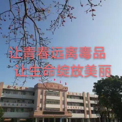 让青春远离毒品•让生命绽放美丽—海城镇彭湃小学开展6•26禁毒、法制教育系列活动