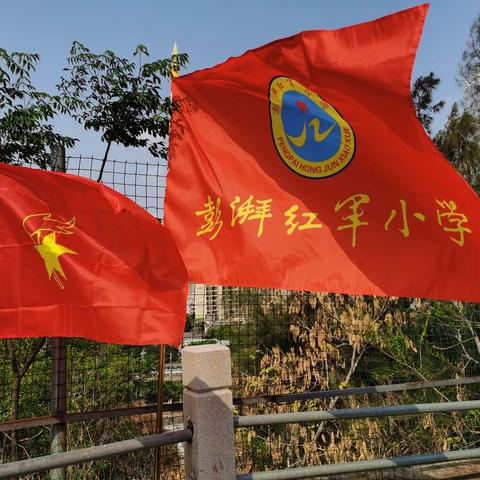 学党史  知党恩   听党话    跟党走—彭湃小学组织开展清明节祭英烈活动