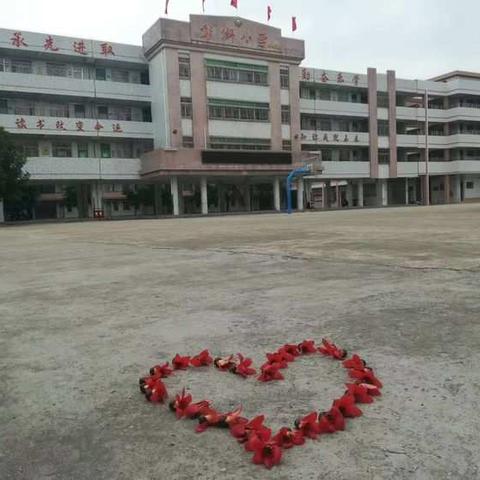 彭湃小学防疫期间线上教育优秀学生