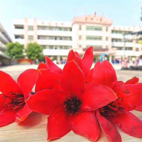 学党史     念党恩     铸初心    践使命—彭湃小学第六周活动、工作简报