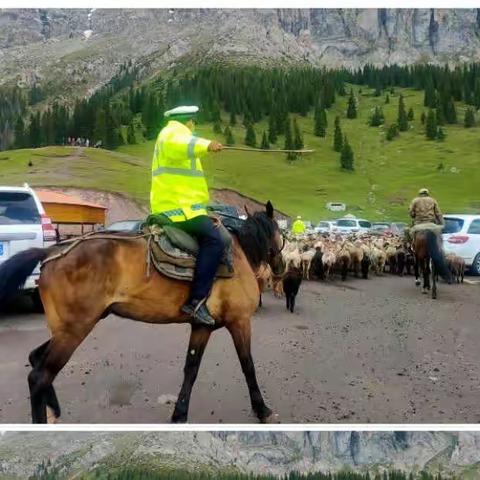 你尽情欣赏旅途风景 我用心守护您一路平安丨箭乡交警最美瞬间