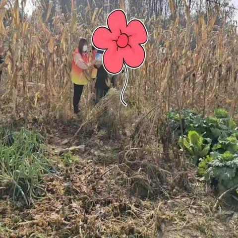 秋收农忙正当时，禁毒宣传到田间
