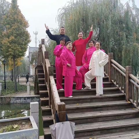 露珠芬芳的美篇