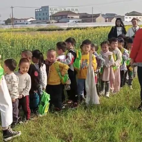 不负春光、快乐春游～春光早教幼儿园春游活动