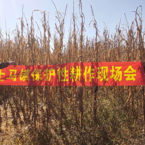 上马镇召开保护性耕作推进会