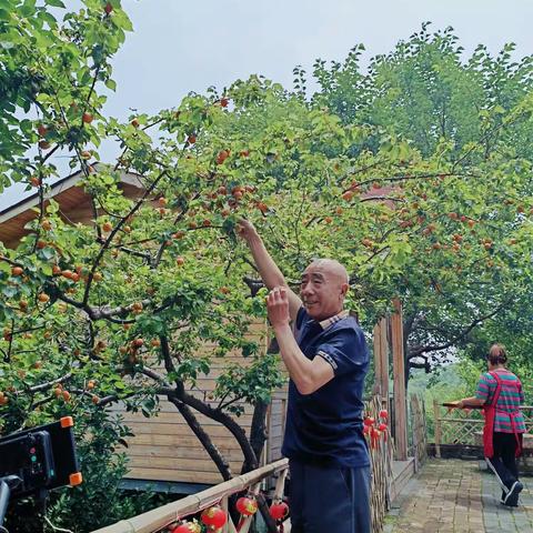 攸    游