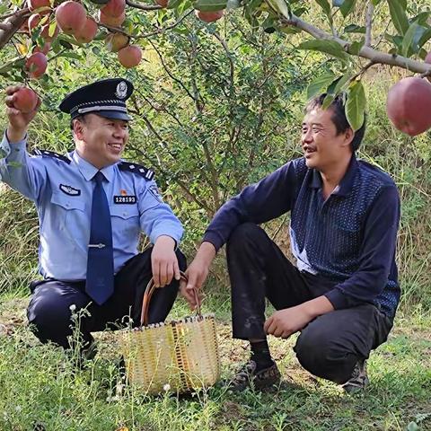 金秋果飘香   警民情更浓