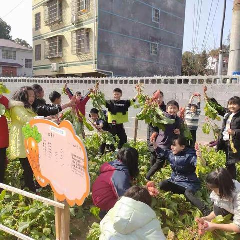 开心农场，我们一起成长