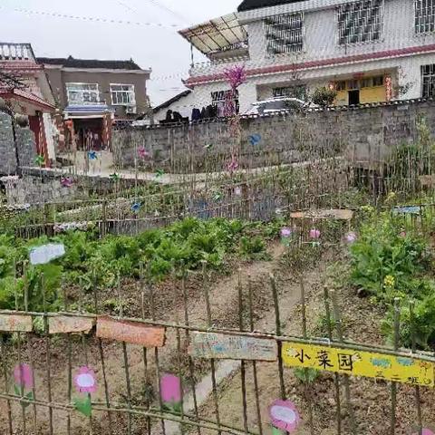我们多姿多彩的荣众生活