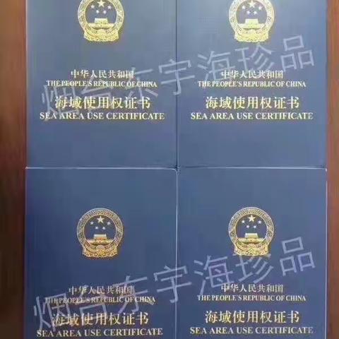 让时间来见证