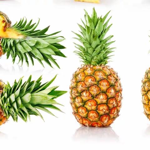 爆炸吧—菠萝🍍