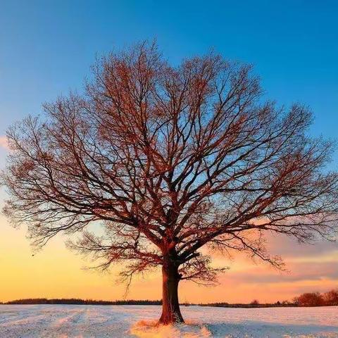 调皮的芽宝宝🌱