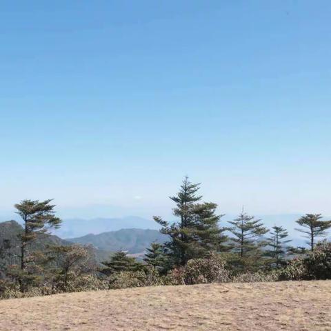 周末时光