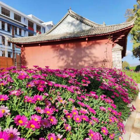 校本研修促改变       研讨交流促提升——大姚县金碧小学二年级组课堂实践活动