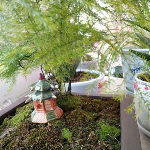 忙碌的时候，闲暇的时候！