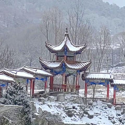 春雪无痕