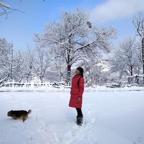 年轮——与下雪有关的日子