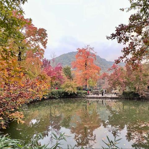 枫叶染红了天平山