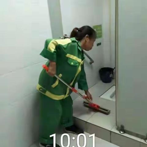 碧玲街道公园绿化管养日常工作动态