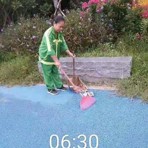 碧玲街道公园绿化管养日常工作动态