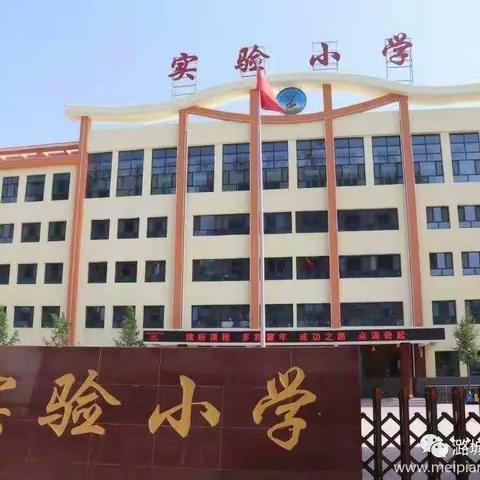 【实验小学】疫情之下不停学，教研活动仍在行——实验小学低段语文教研活动侧记