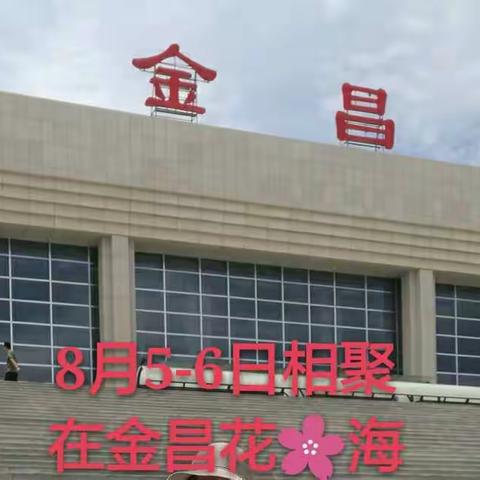 带着快乐……拥抱花🌸海