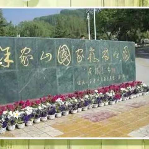 酷日同学相聚徐家山森林公园