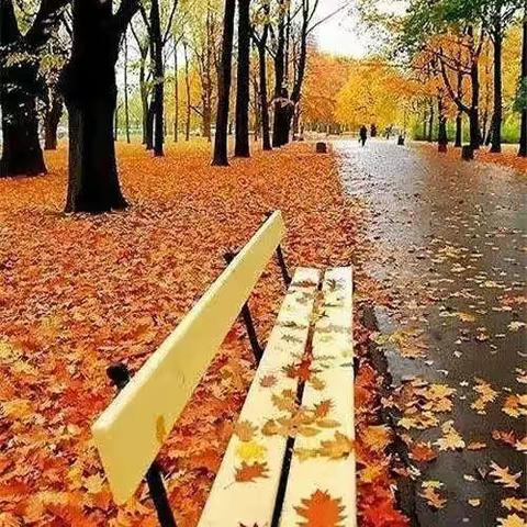 初冬的周末，姐妹迎着朝阳，登高望远……感受秋的浪漫