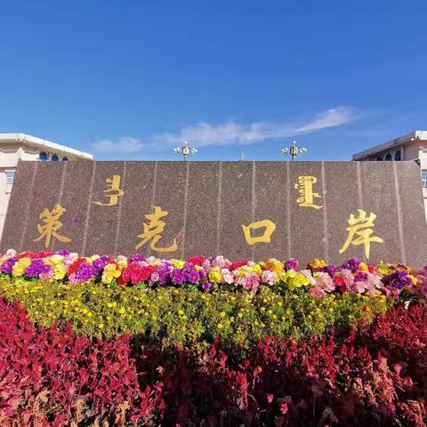 额济纳风光