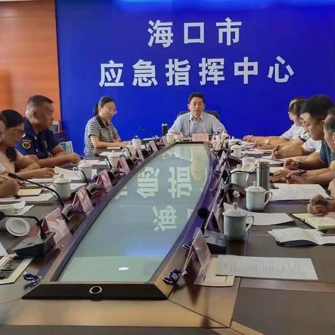 海口市组织参加全省防御热带低压视频动员部署会并部署全市防范工作