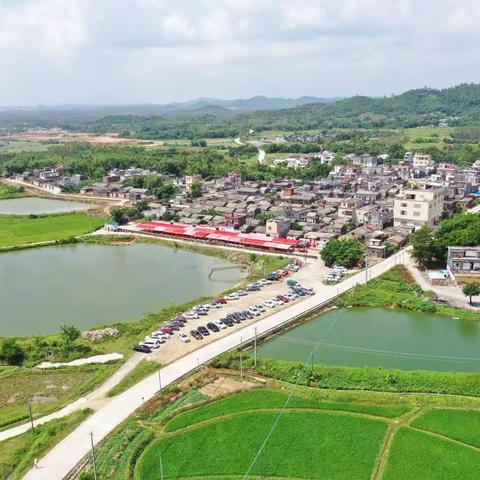 阳东北股大塘村祭祖庆典