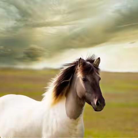 乾卦——群龙无首，为每一个奋斗的当下点赞