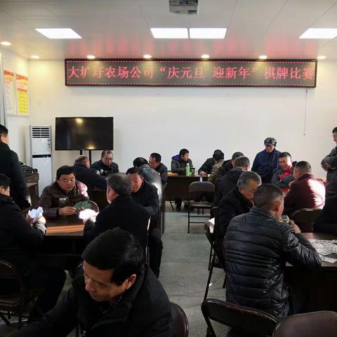 大圹圩农场公司工会举办“庆元旦·迎新年”棋牌比赛