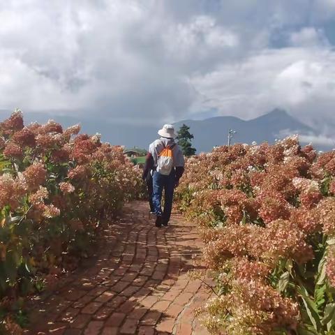 行走在“消失的地平线”（第二部）