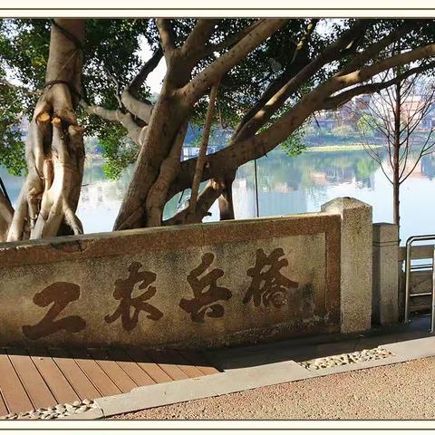 樊龙的美篇