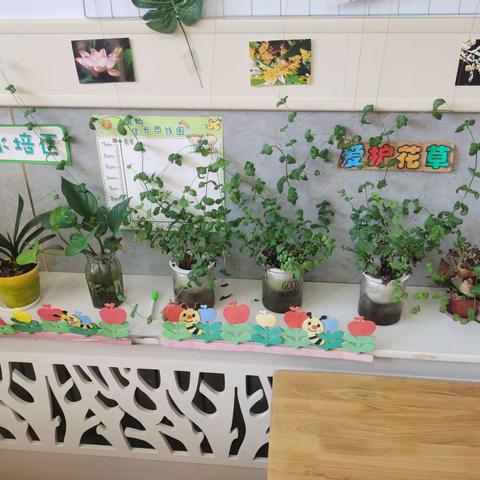 小角落，大自然，小种植，大发现，欢迎来到大一班的自然种植天地！