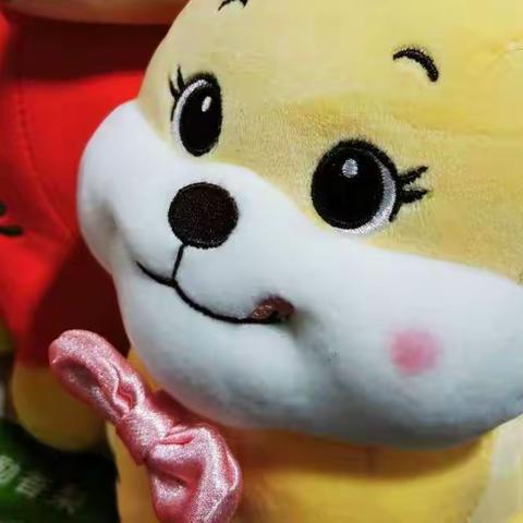 又是一年年终决算时！