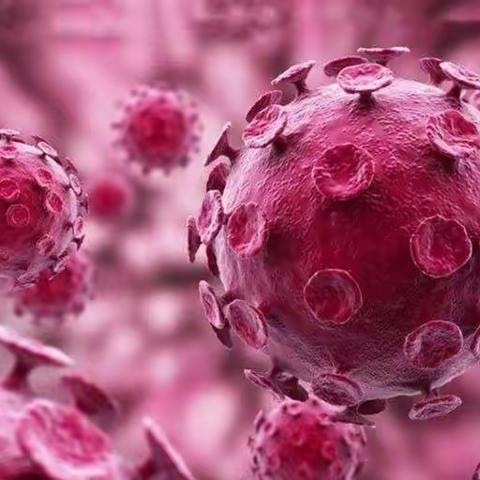 忽见严冬尽，方知列宿春。夜将寒色去，年共晓光新。