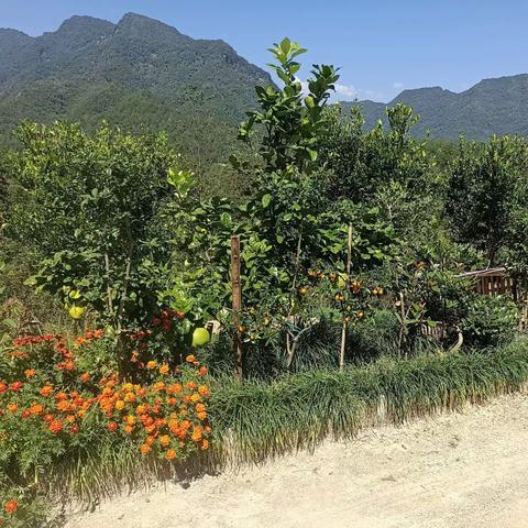 走进秋天，感受秋天