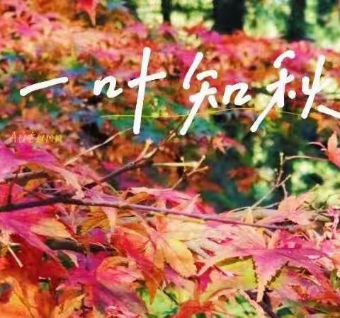 落叶•知秋——寻找秋天，捕捉秋色双峰小学庾亮校区二（3）班特色活动