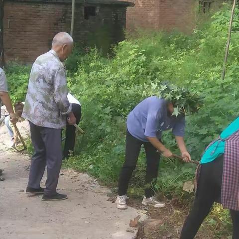 西平罗乡：清除杂草进行时，整治环境齐上阵