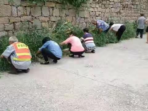 西平罗乡：提升旅游环线环境整治 打造美丽乡村人居环境