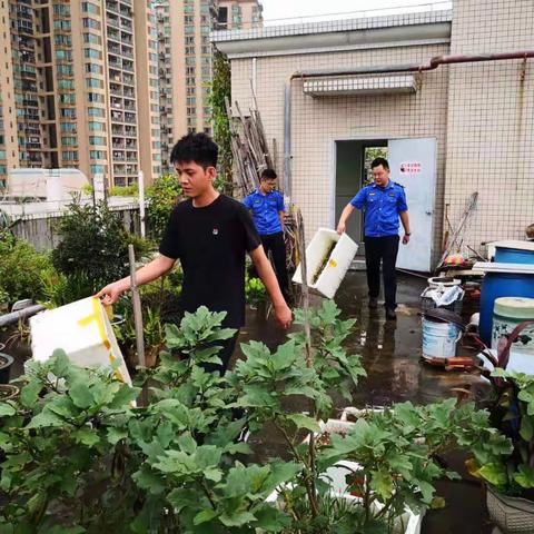 文雅社区组织动员消灭蚊虫，清除积水