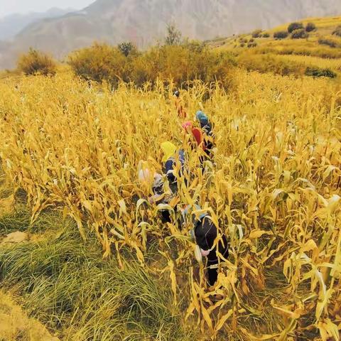 “玉”你相约 甜“米”美好